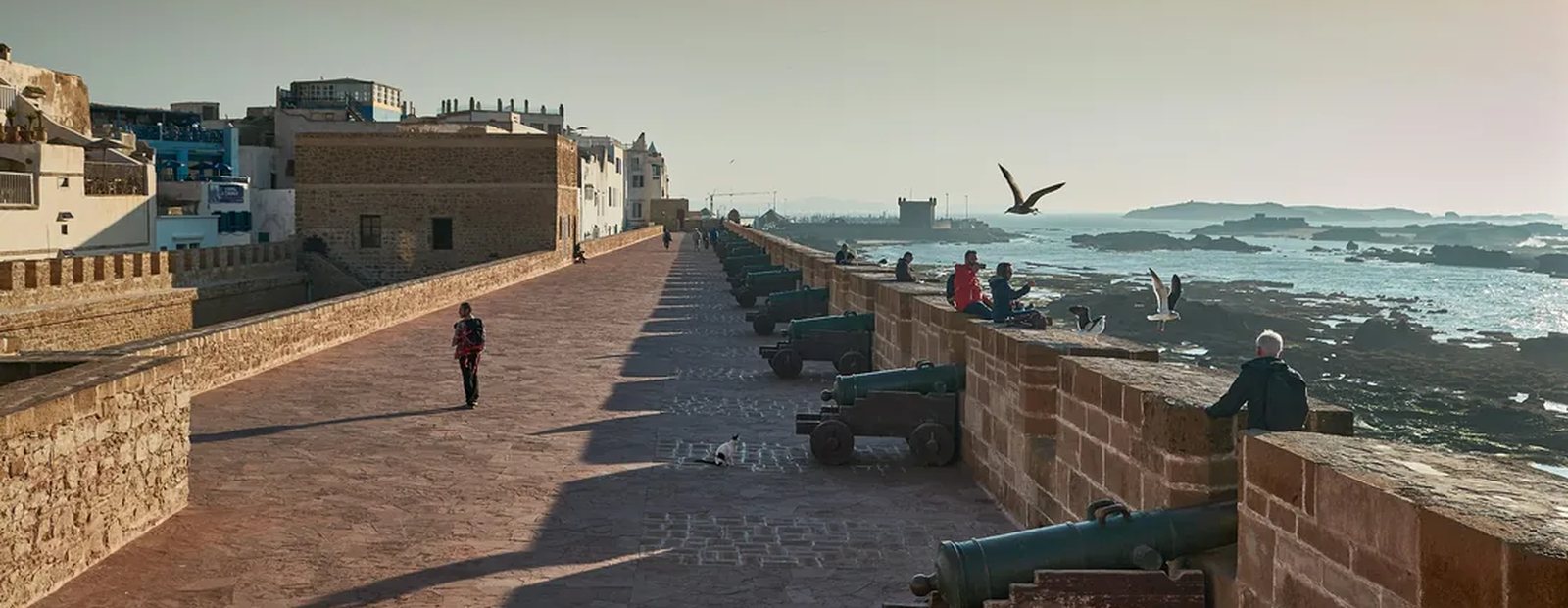 Les remparts de la Skala de la Ville à Essaouira